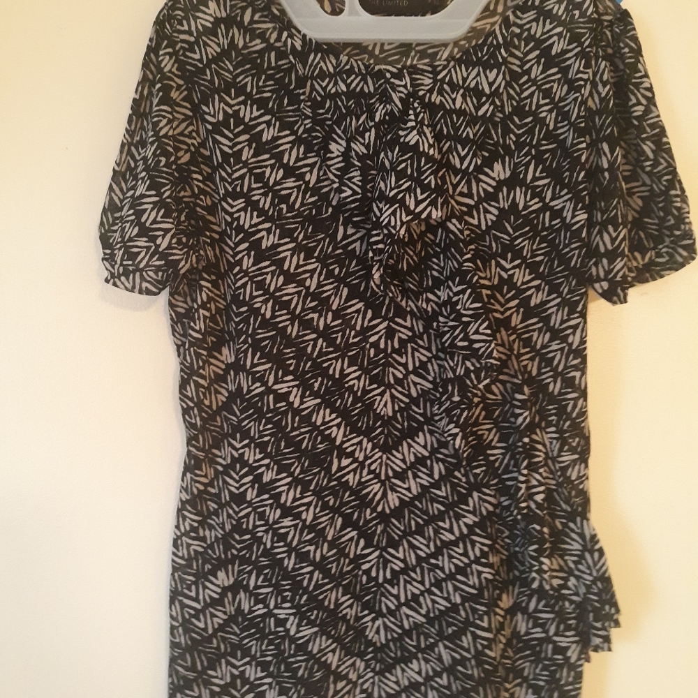 The Limited Blouse